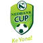 Nedbank Cup Nam Phi