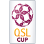 QSL Cup Qatar